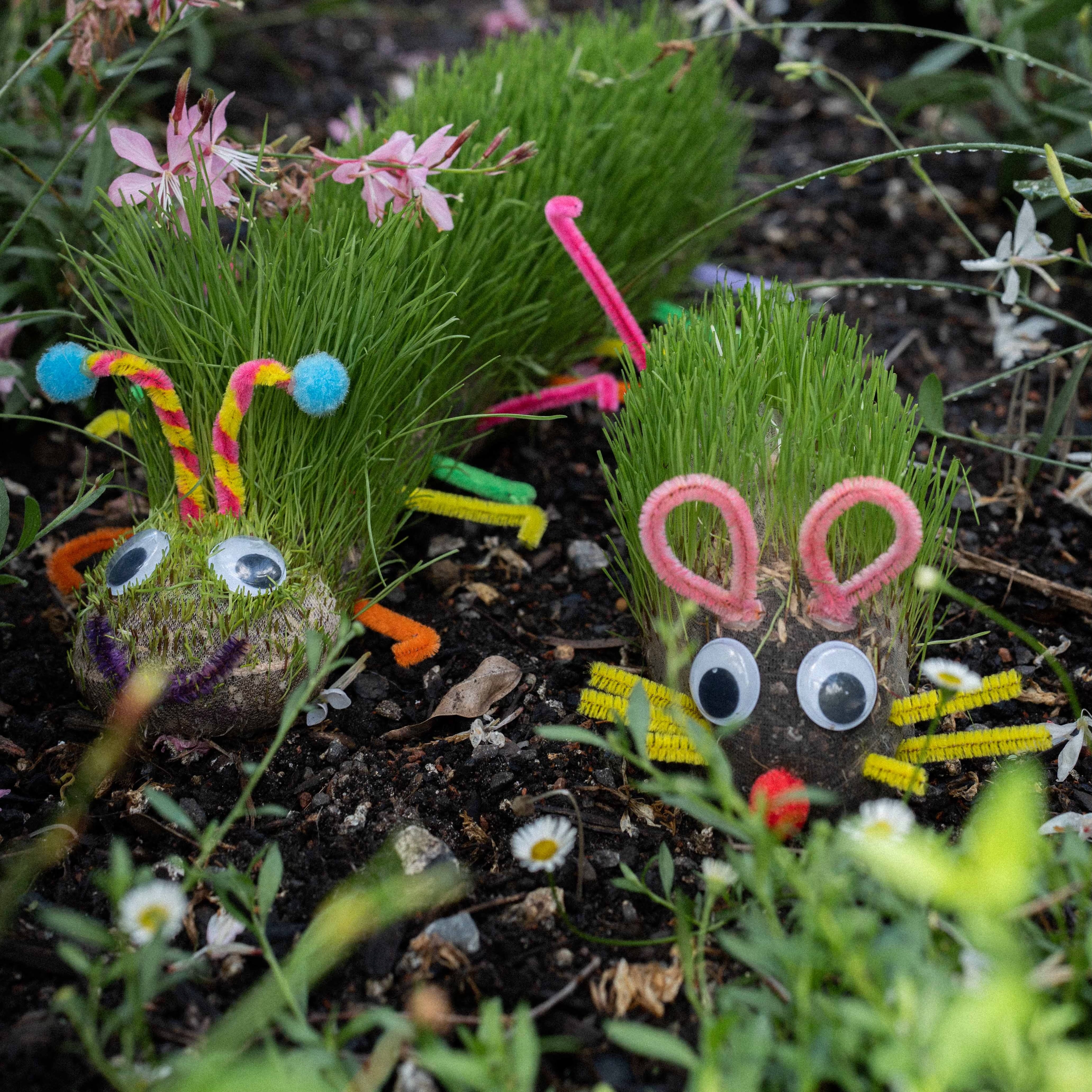 Kids Holiday Workshops: Grow a Grass Pet, 8th & 9th April