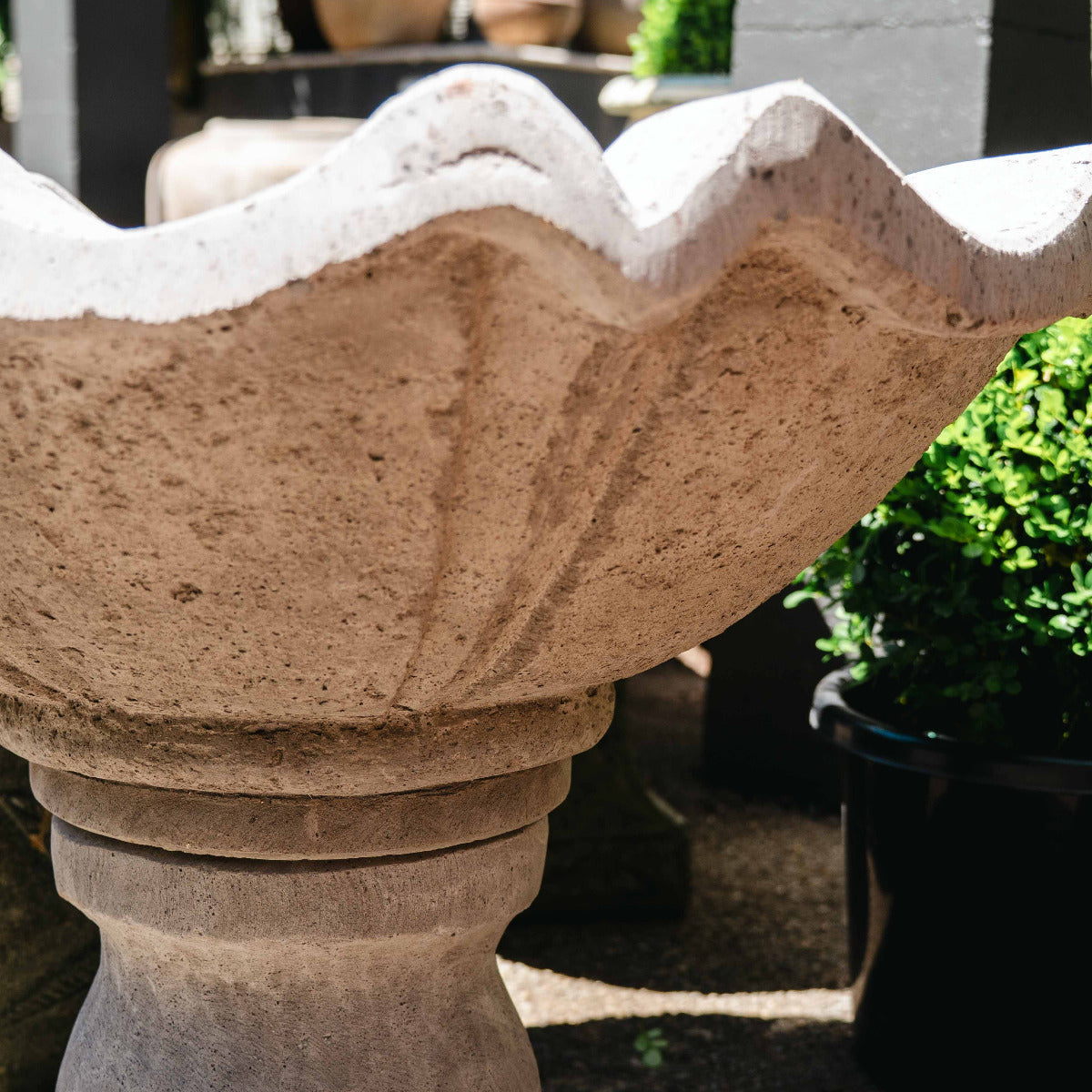 Lotus Bird Bath