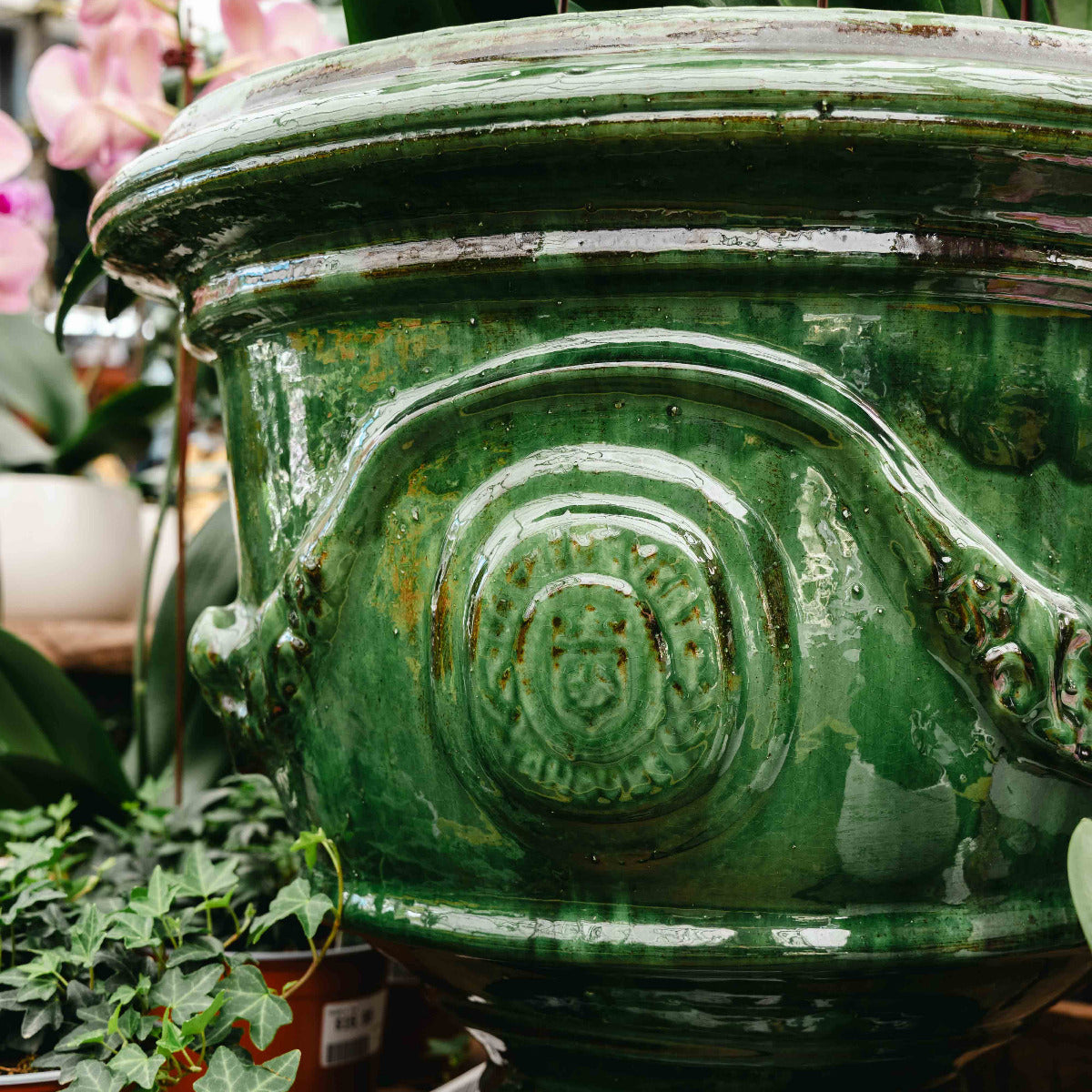 Green Versailles Coupe