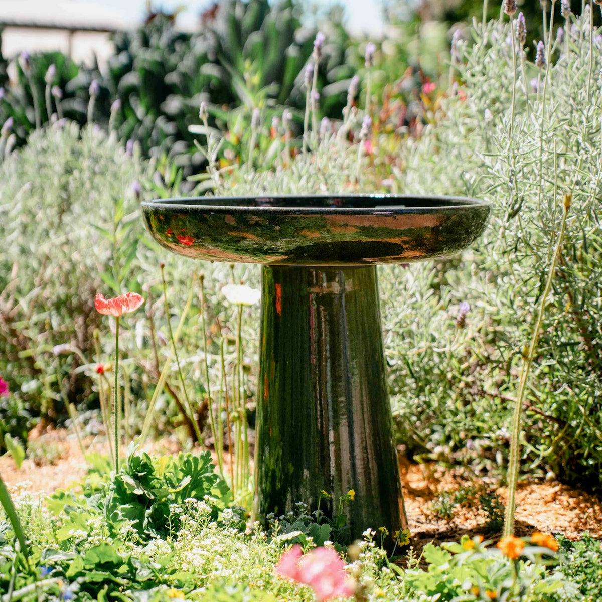 Wren Bird Bath in Almond glaze with rounded bowl and pedestal base in a lush garden setting.