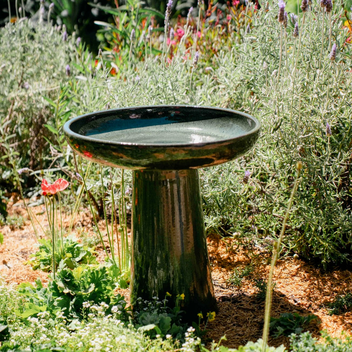 Wren Bird Bath in Almond glaze with rounded bowl and pedestal base in a lush garden setting.