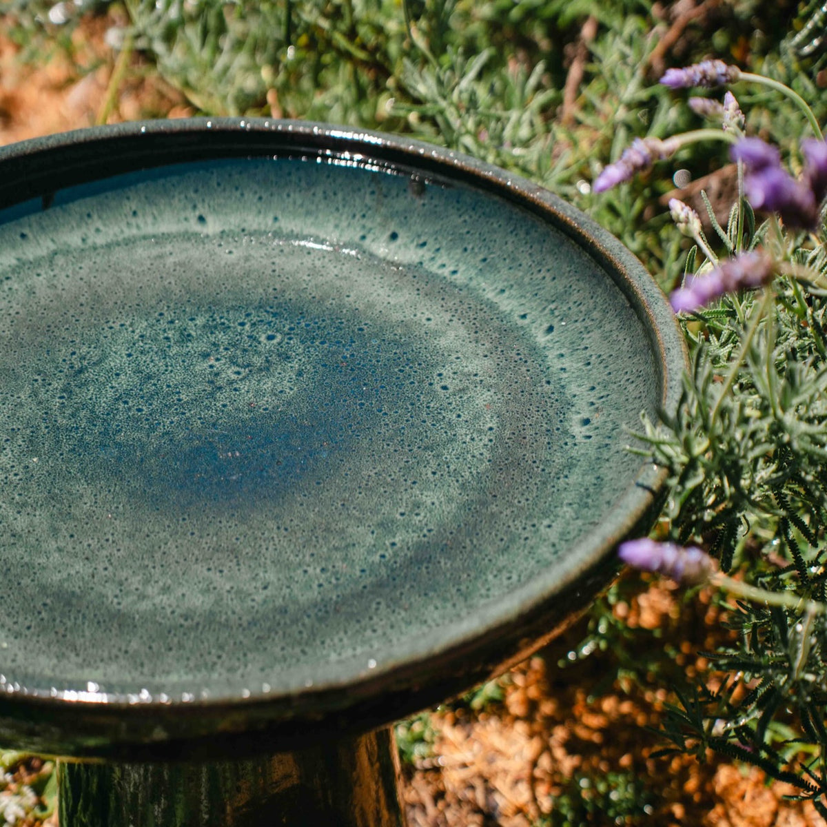 Wren Bird Bath in Almond glaze with rounded bowl and pedestal base in a lush garden setting.