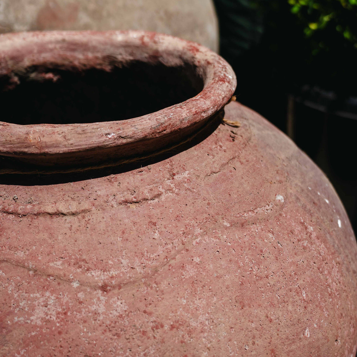 Terracotta Pot