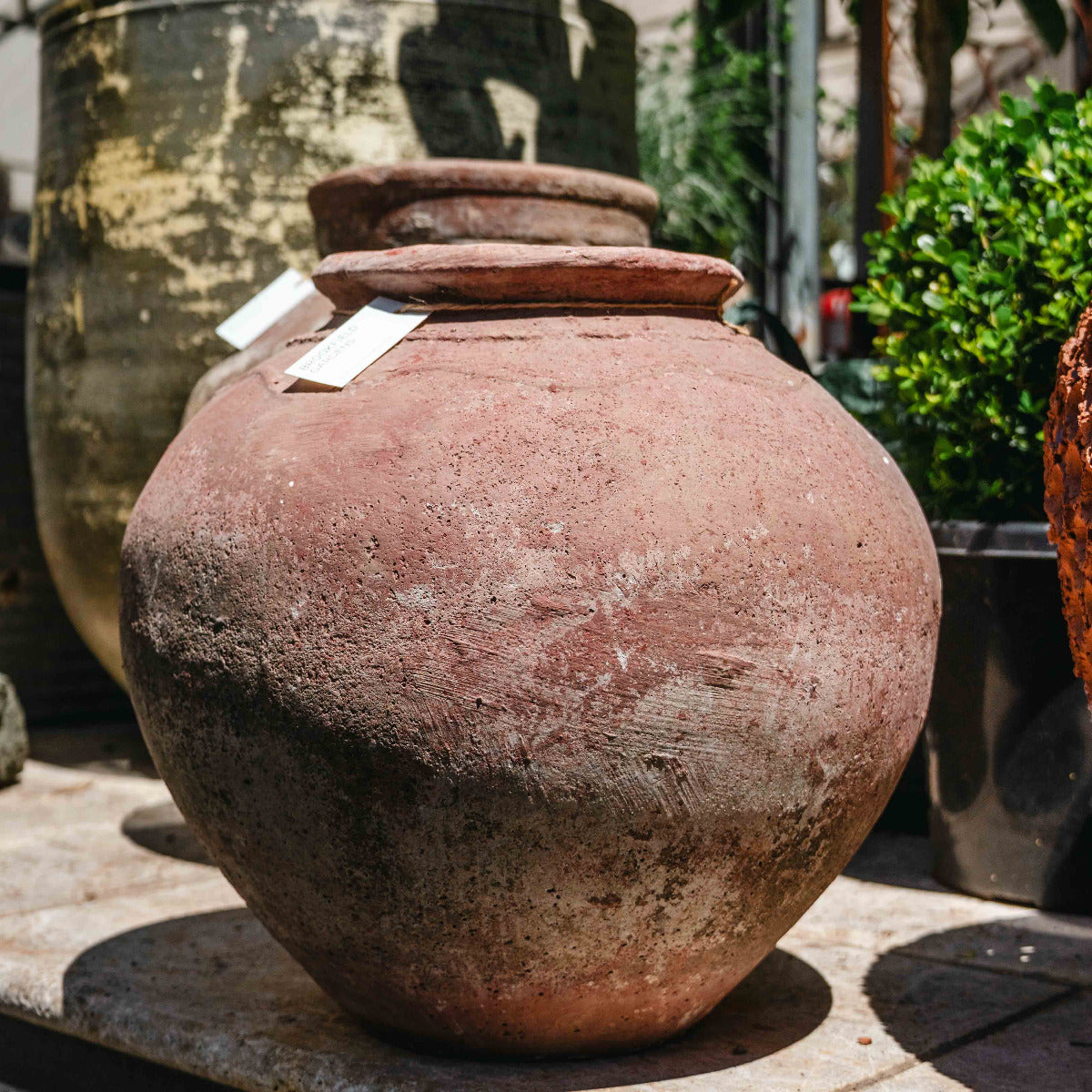 Vintage terracotta pot with a tag on a stone surface, surrounded by plants.
