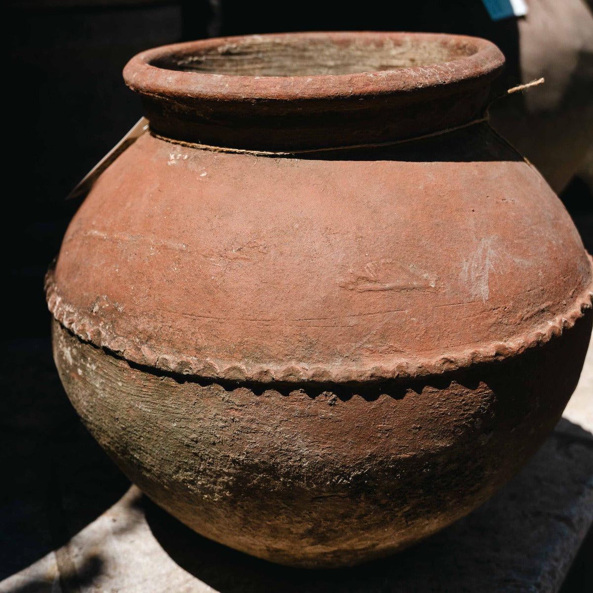 Terracotta pot on a reflective surface with a blurred background