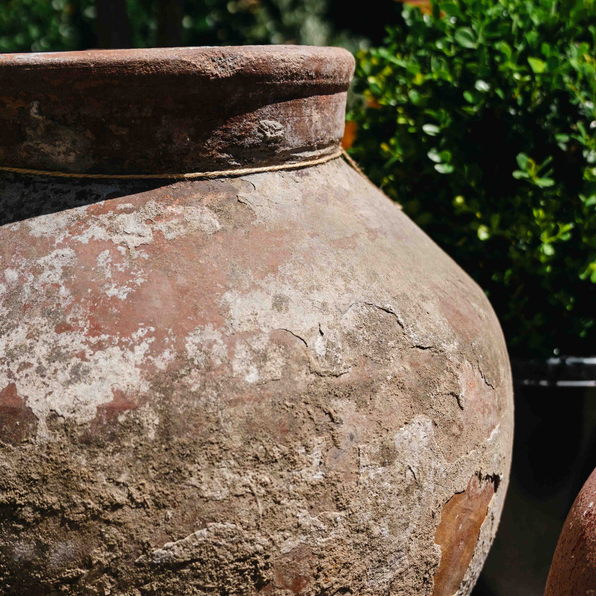 Terracotta Old Garden Pot