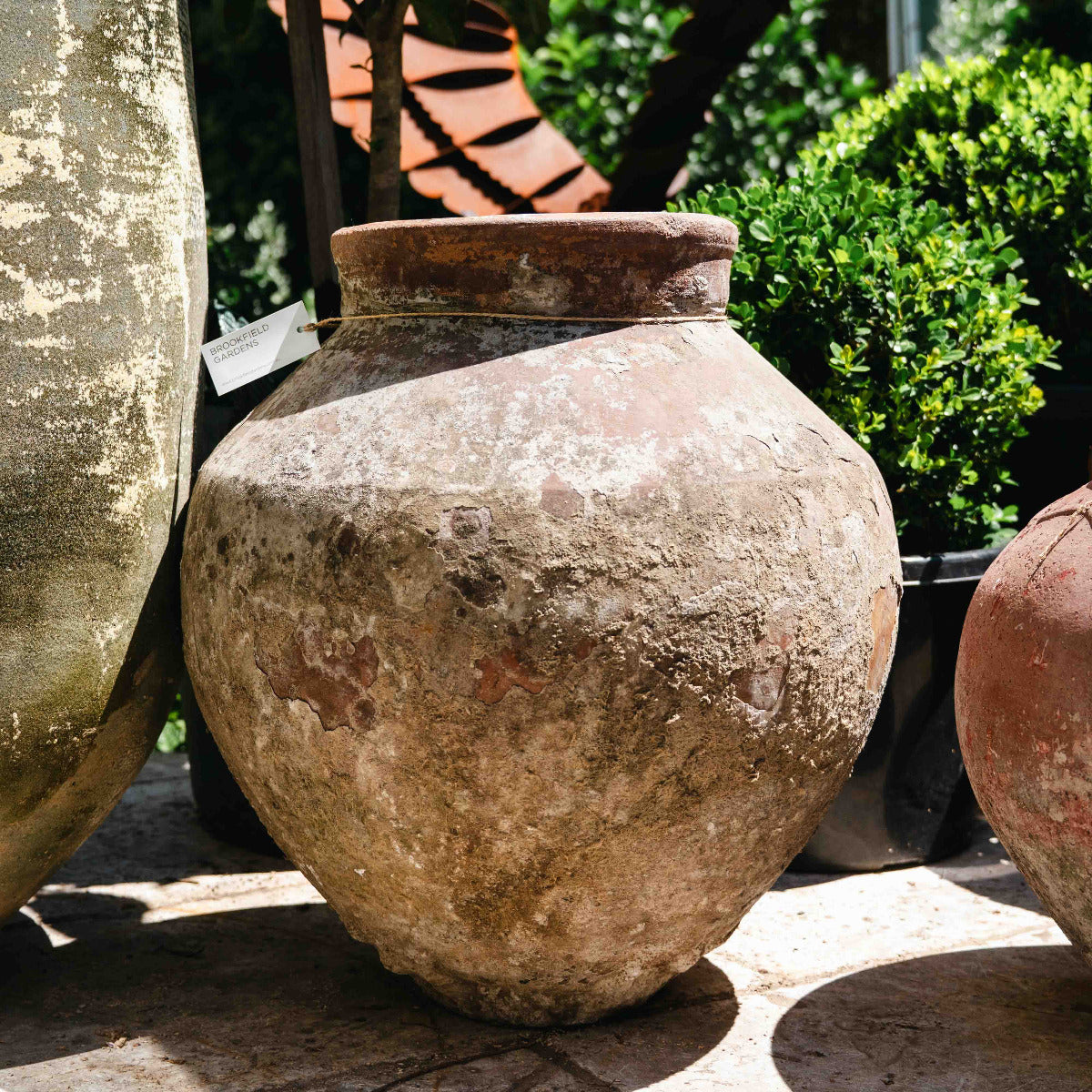 Terracotta Old Garden Pot