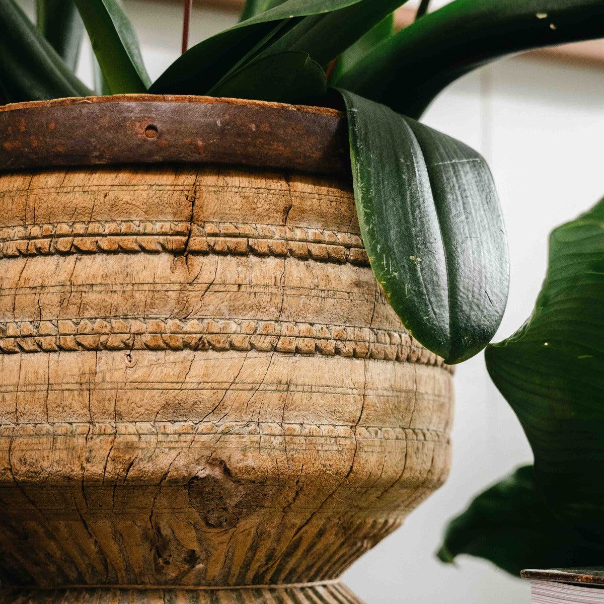 Wooden Planter with Metal Trim