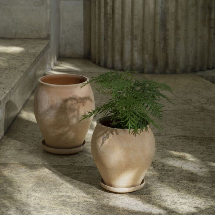 Delphi Rosa with Saucer