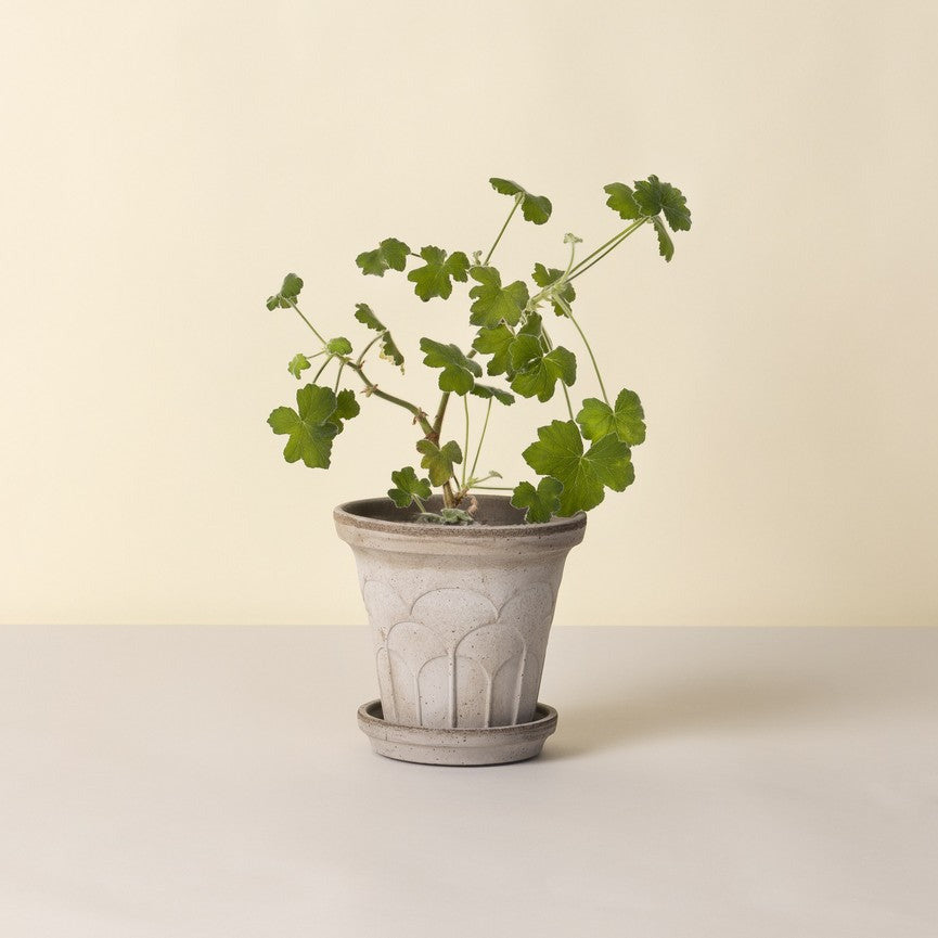 Bergs Potter Fleur grey terracotta pot with embossed floral relief and matching saucer