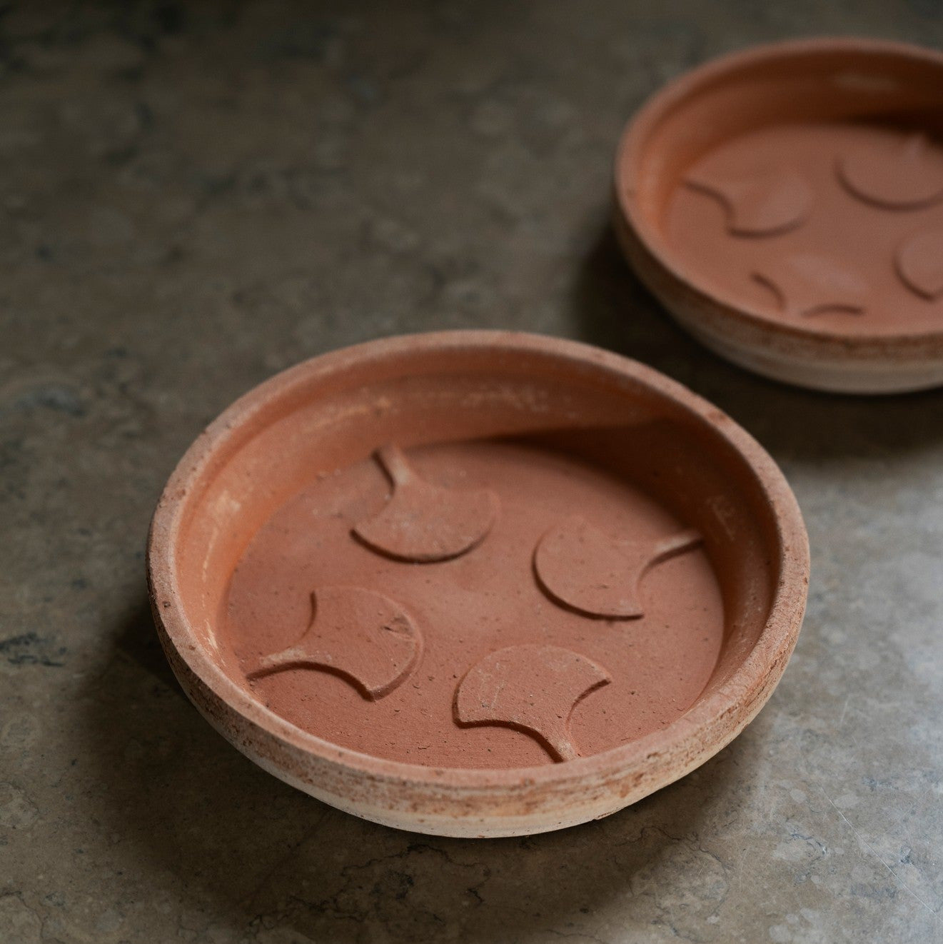 Bergs Potter Fleur rosa terracotta pot with embossed floral relief and matching saucer
