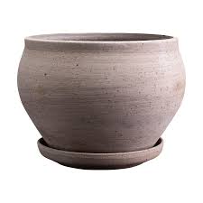 Delphi Grey Low with Saucer