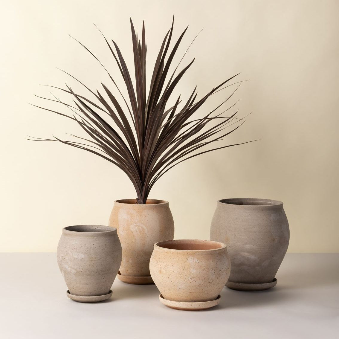 Set of five ceramic pots with a plant on a light background