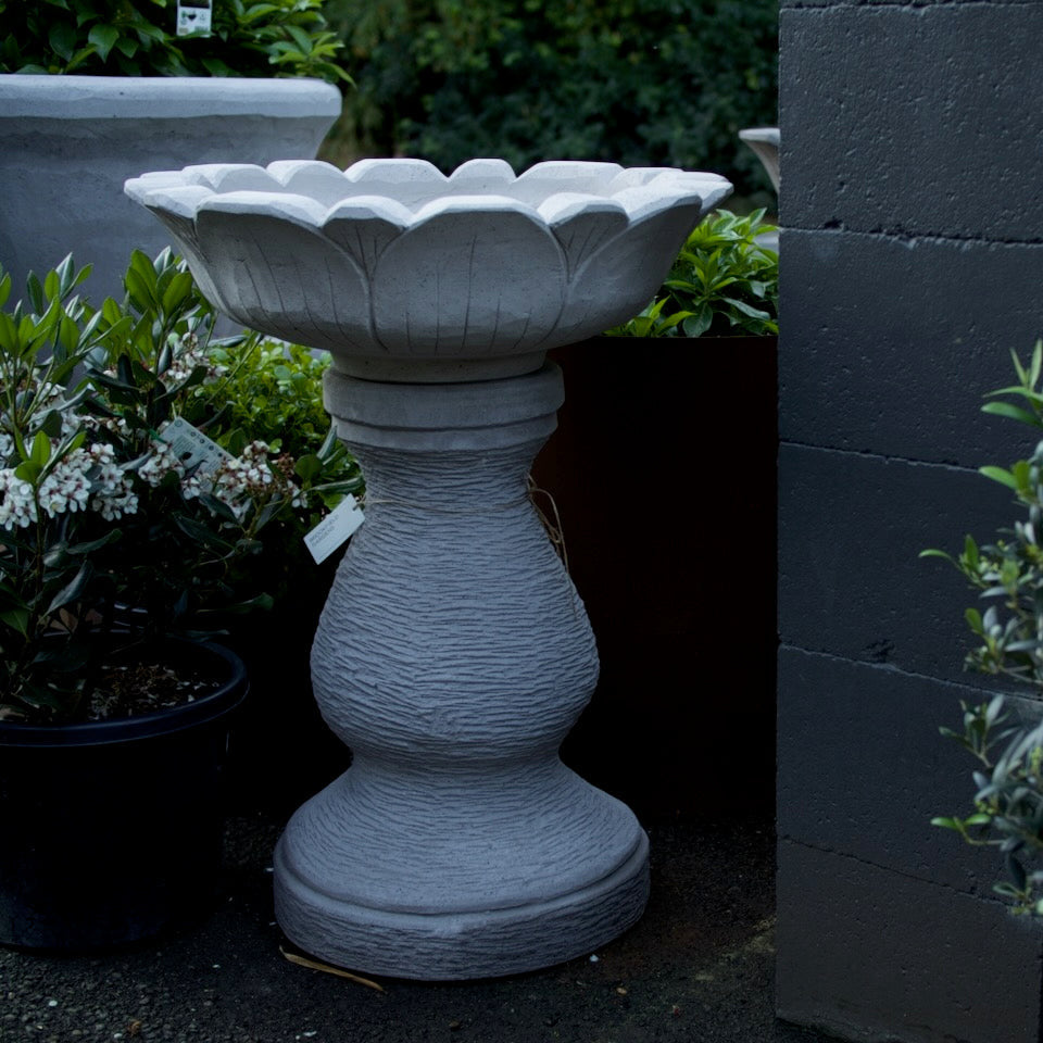 A light gray concrete bird bath with a lotus-shaped rim and textured pedestal base, displayed outdoors next to potted green plants and a dark gray brick wall.