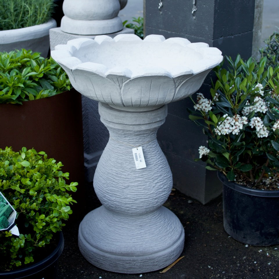 A weathered stone double-tier garden fountain surrounded by potted lavender plants in a garden setting.