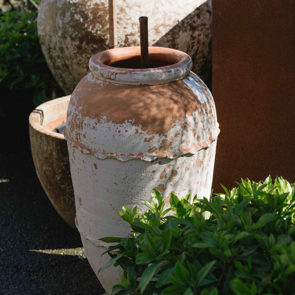 A large rustic ceramic planter pot with a distressed white and terracotta finish, featuring a small wooden stake inside, styled outdoors with green foliage in the foreground and other pots in the background.