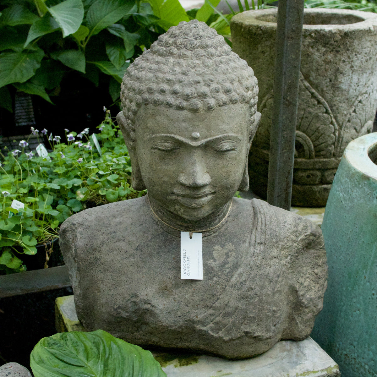 Buddha Head