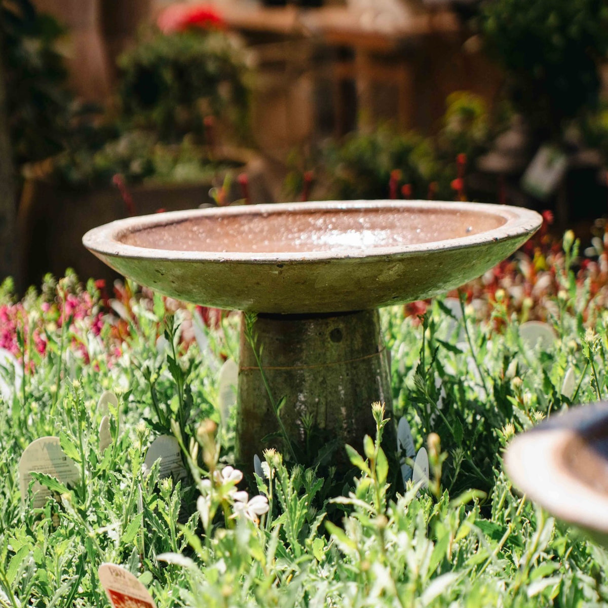 Canyon Stone Bird Bath with wide shallow bowl and aged stone finish surrounded by flowering garden plants.