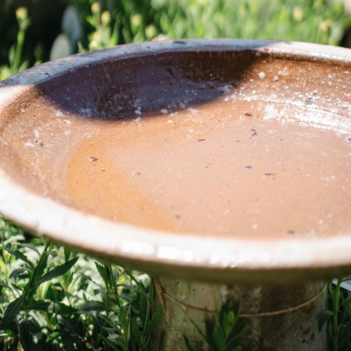 Canyon Stone Bird Bath with wide shallow bowl and aged stone finish surrounded by flowering garden plants.