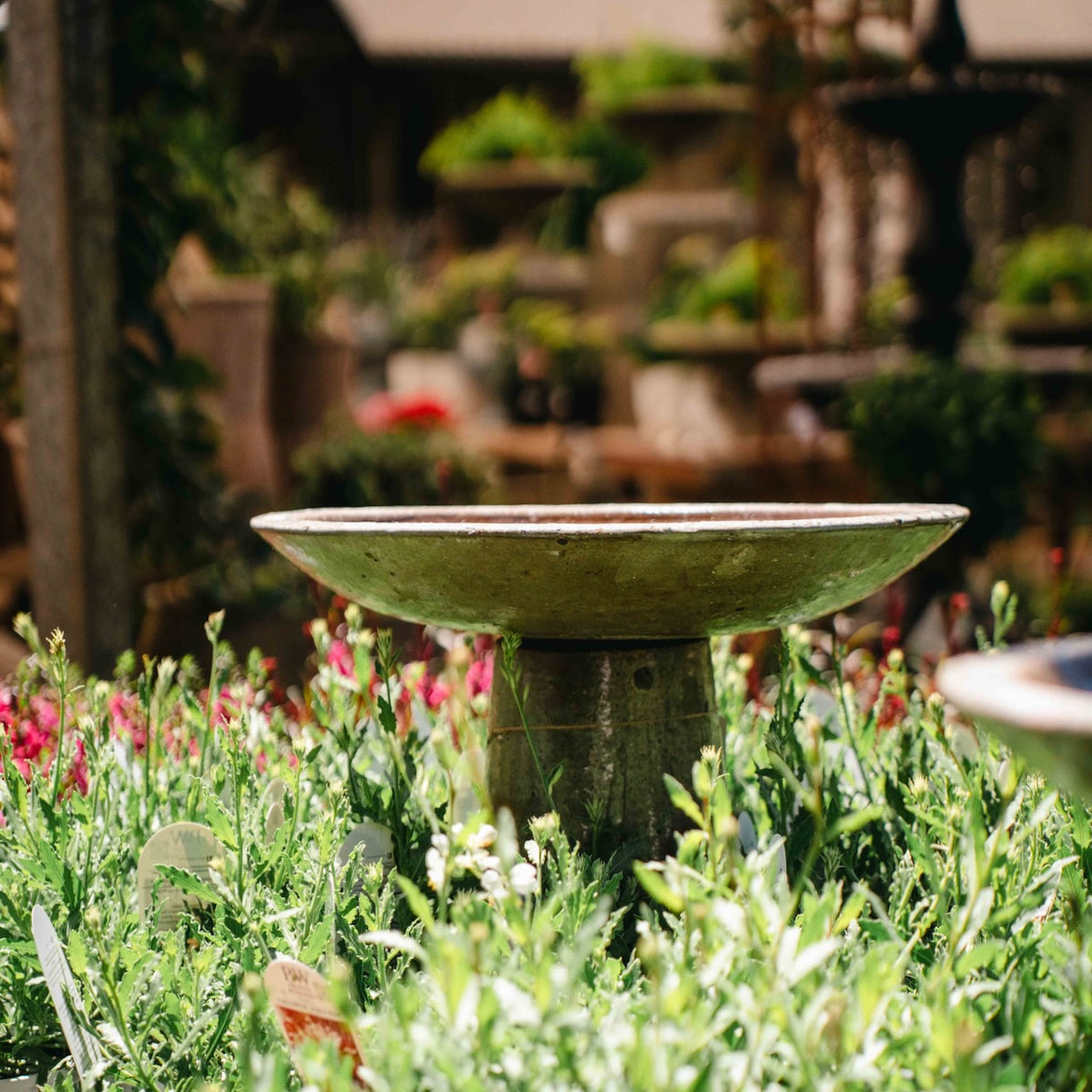 Canyon Stone Bird Bath with wide shallow bowl and aged stone finish surrounded by flowering garden plants.