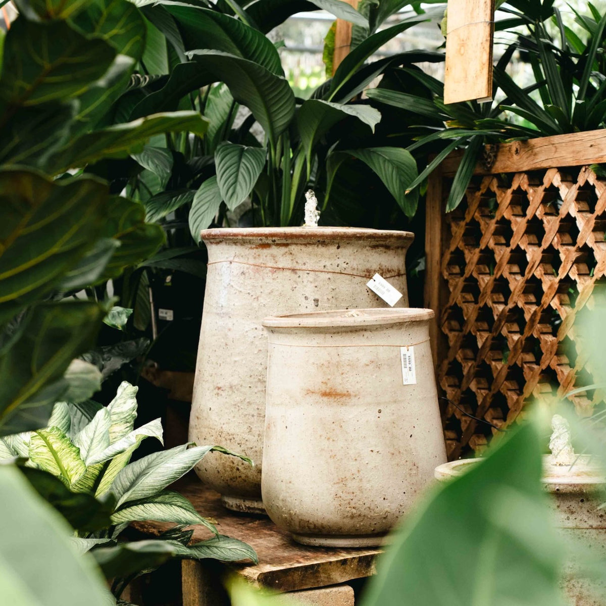 Canyon Stone Fountains in two sizes with softly weathered stone-look finish, bubbling water outlet and integrated light, displayed amongst lush plants.