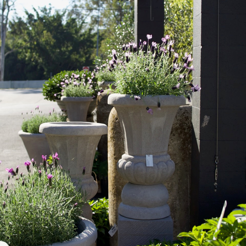 Tapered classical garden urn with fluted detailing and aged stone finish, planted with lavender. Pedestal sold separately. French inspired, concrete finish. Exclusive Brookfield Gardens.