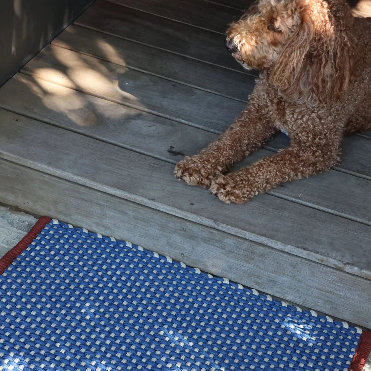 Chase Doormat 50 x 70cm, handmade in India from durable polypropylene, suitable for indoor and outdoor use, available at Brookfield Gardens.