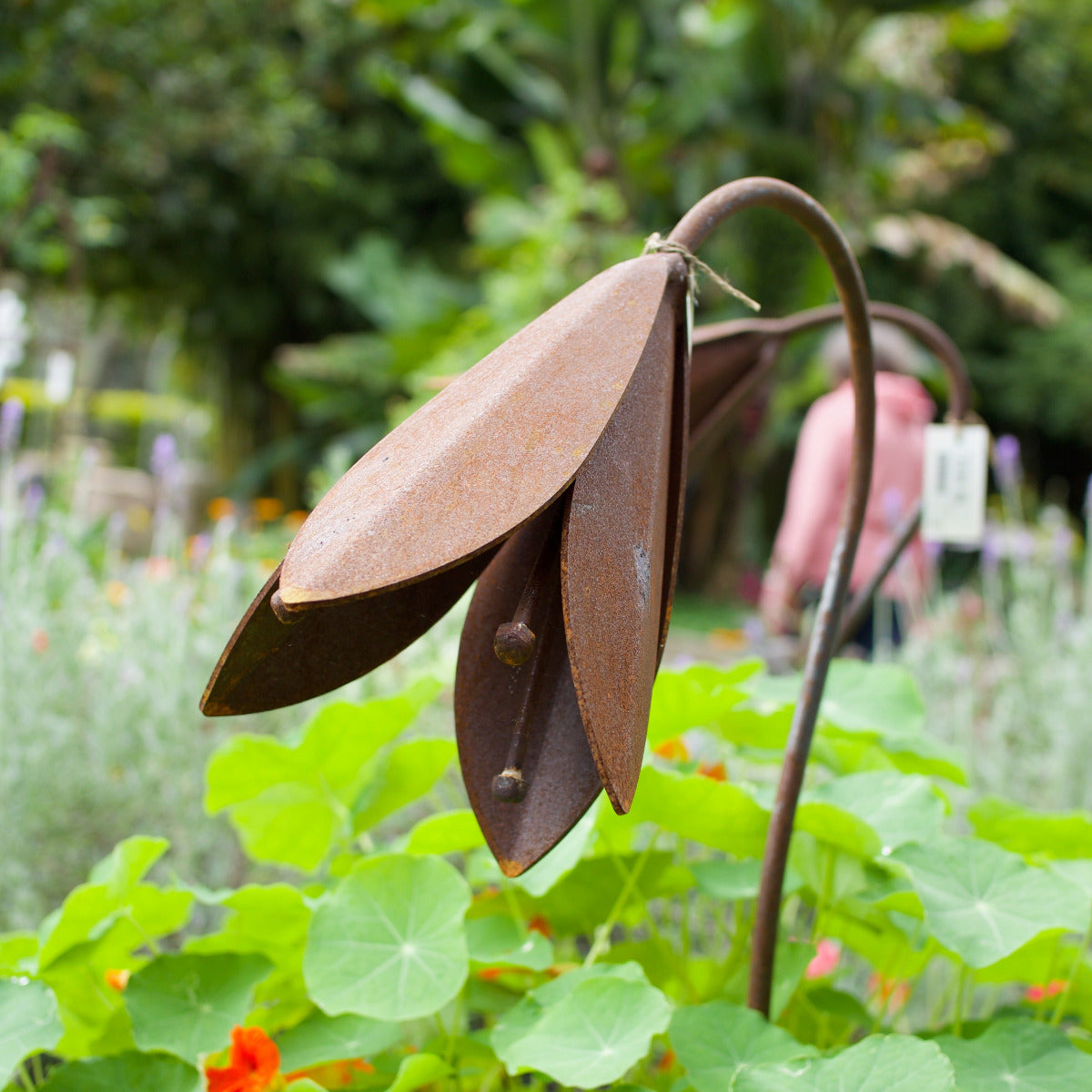 Giant Lily - Corten