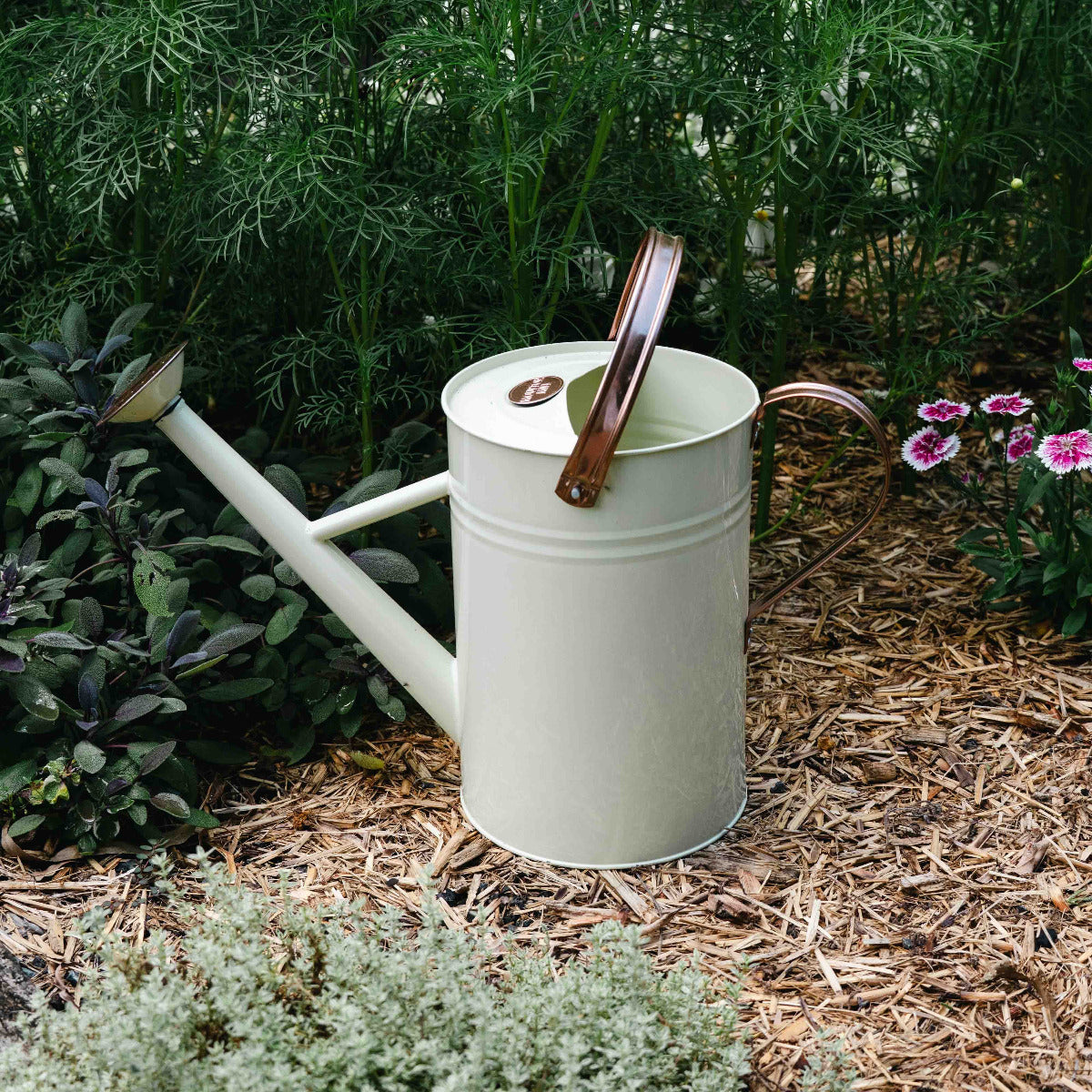 4.5Lt Metal Watering Can Cream