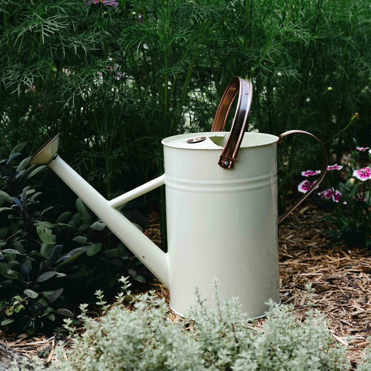 4.5Lt Metal Watering Can Cream