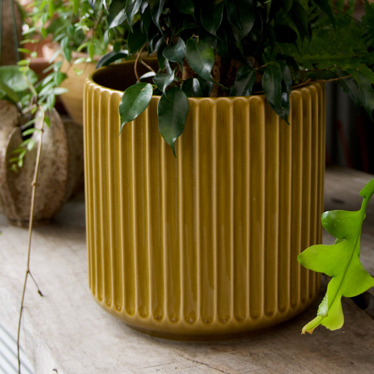 Olive Ribbed Cylinder Pot