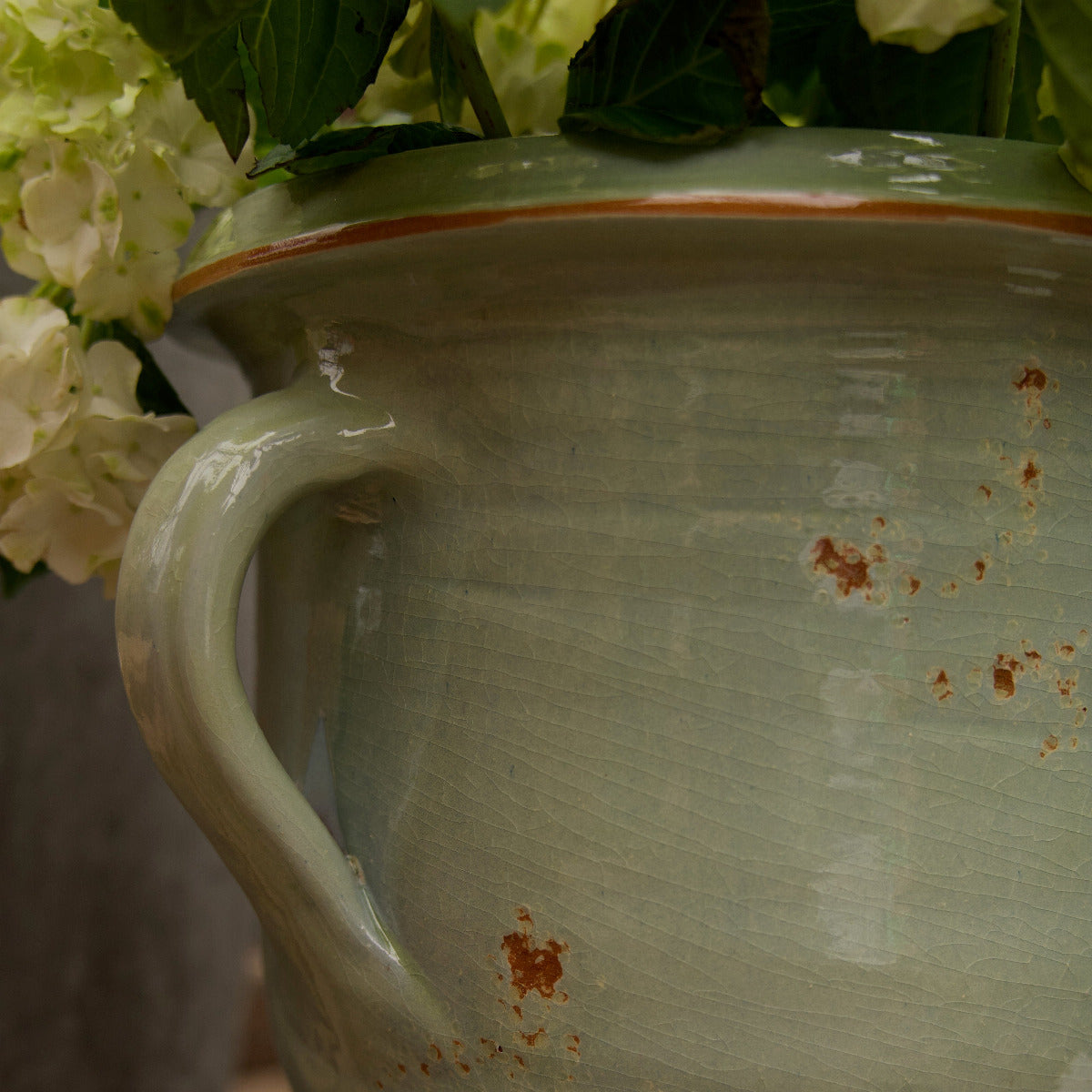 French Two Handle Jar