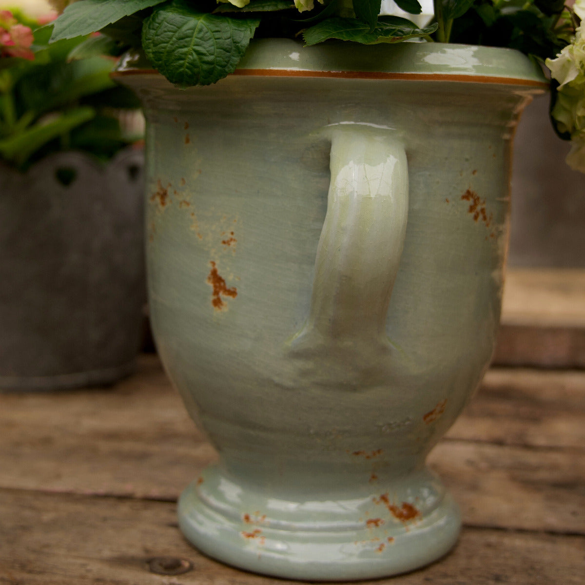 French Two Handle Jar