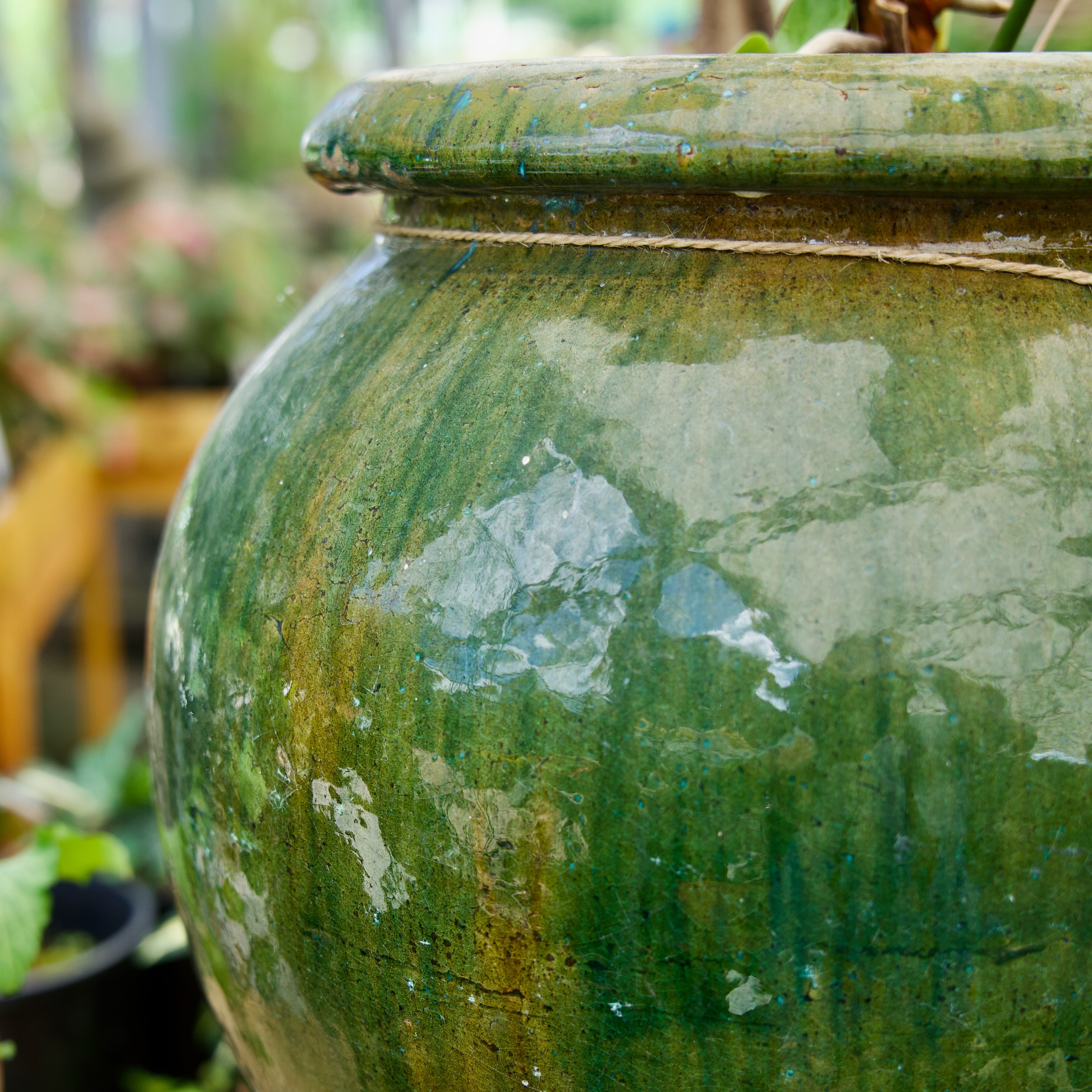 Pot Green