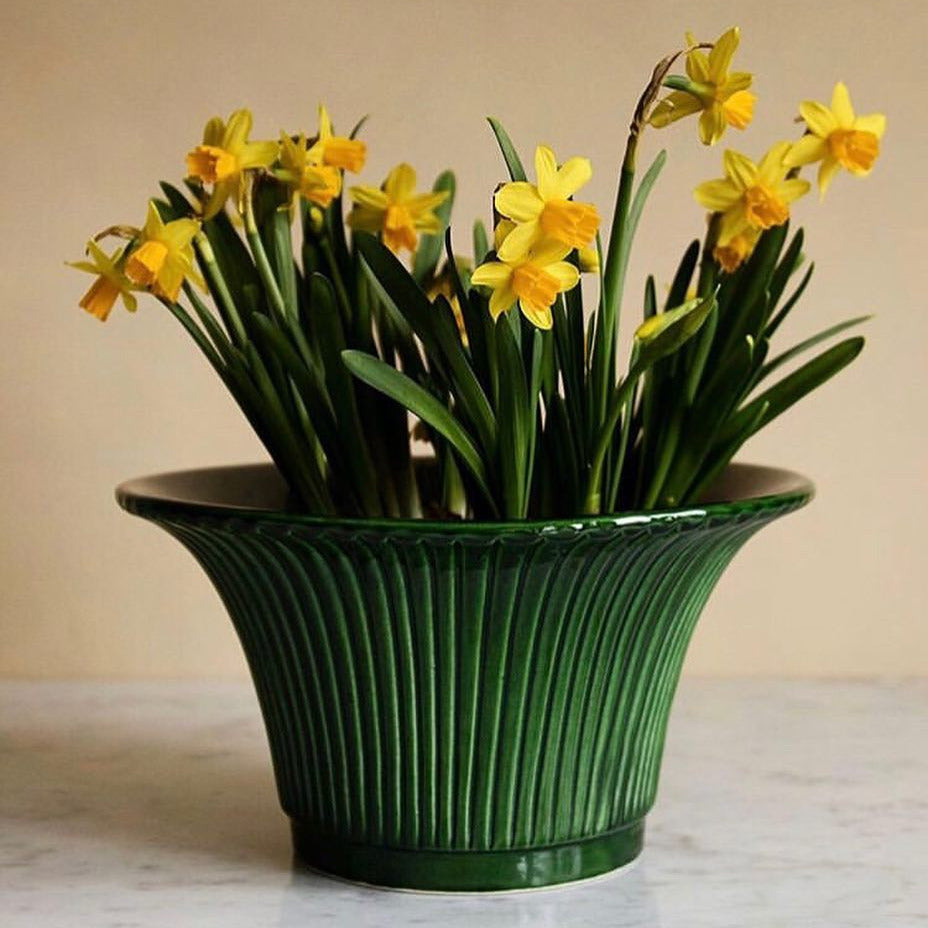 Daisy Glazed Pot Bergs Potter