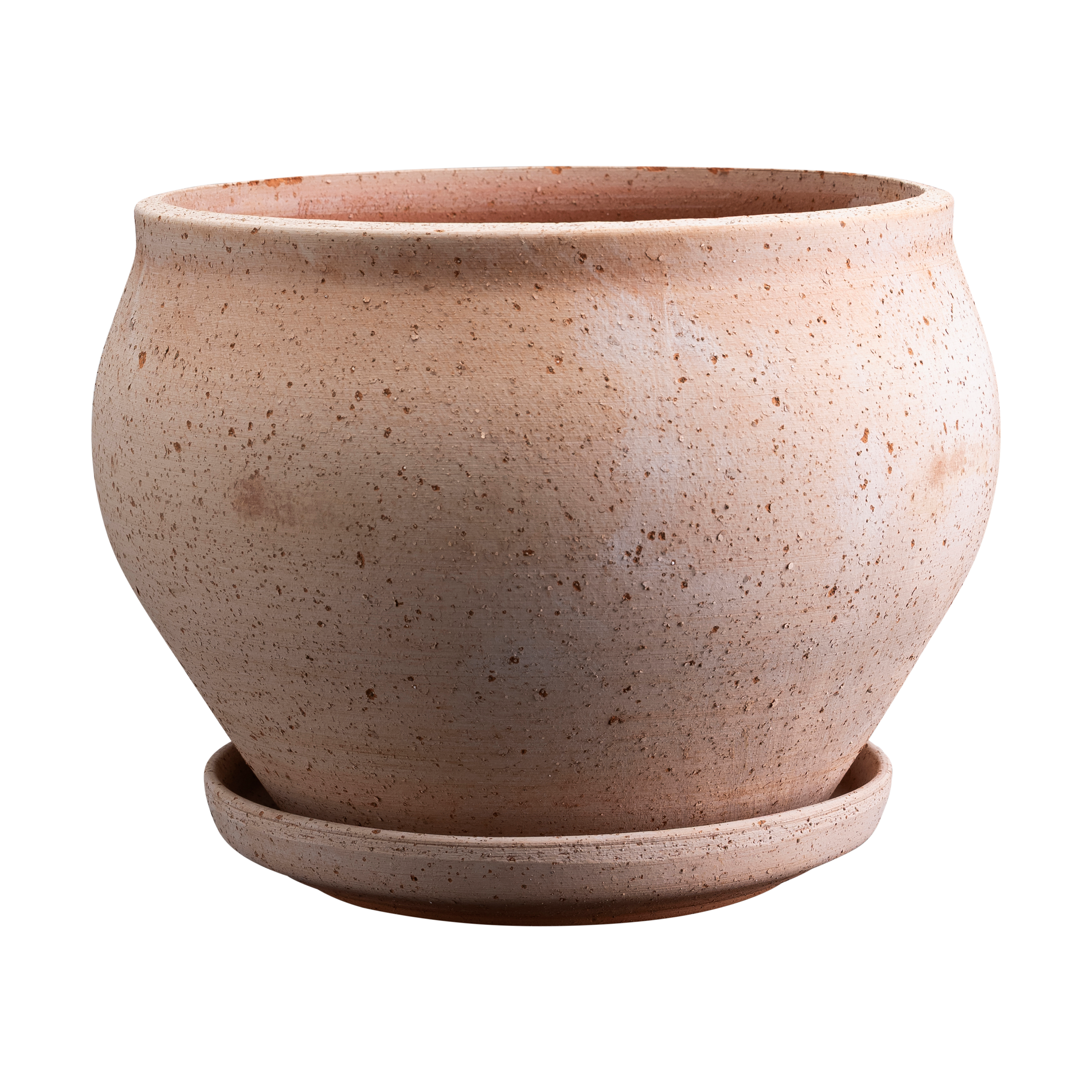 Delphi Rosa Low with Saucer