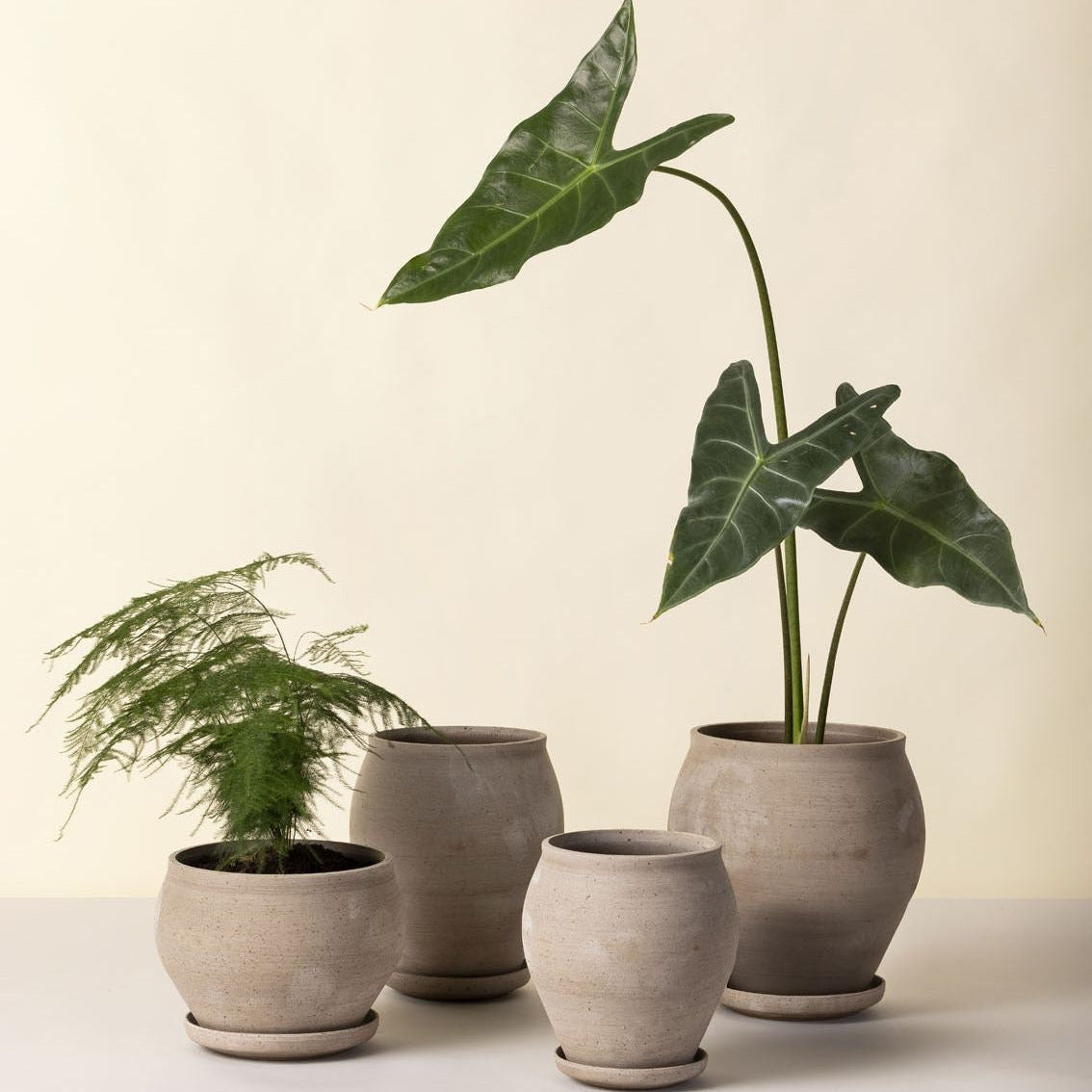 Bergs Potter Delphi Grey terracotta planter with matching saucer in grey finish.