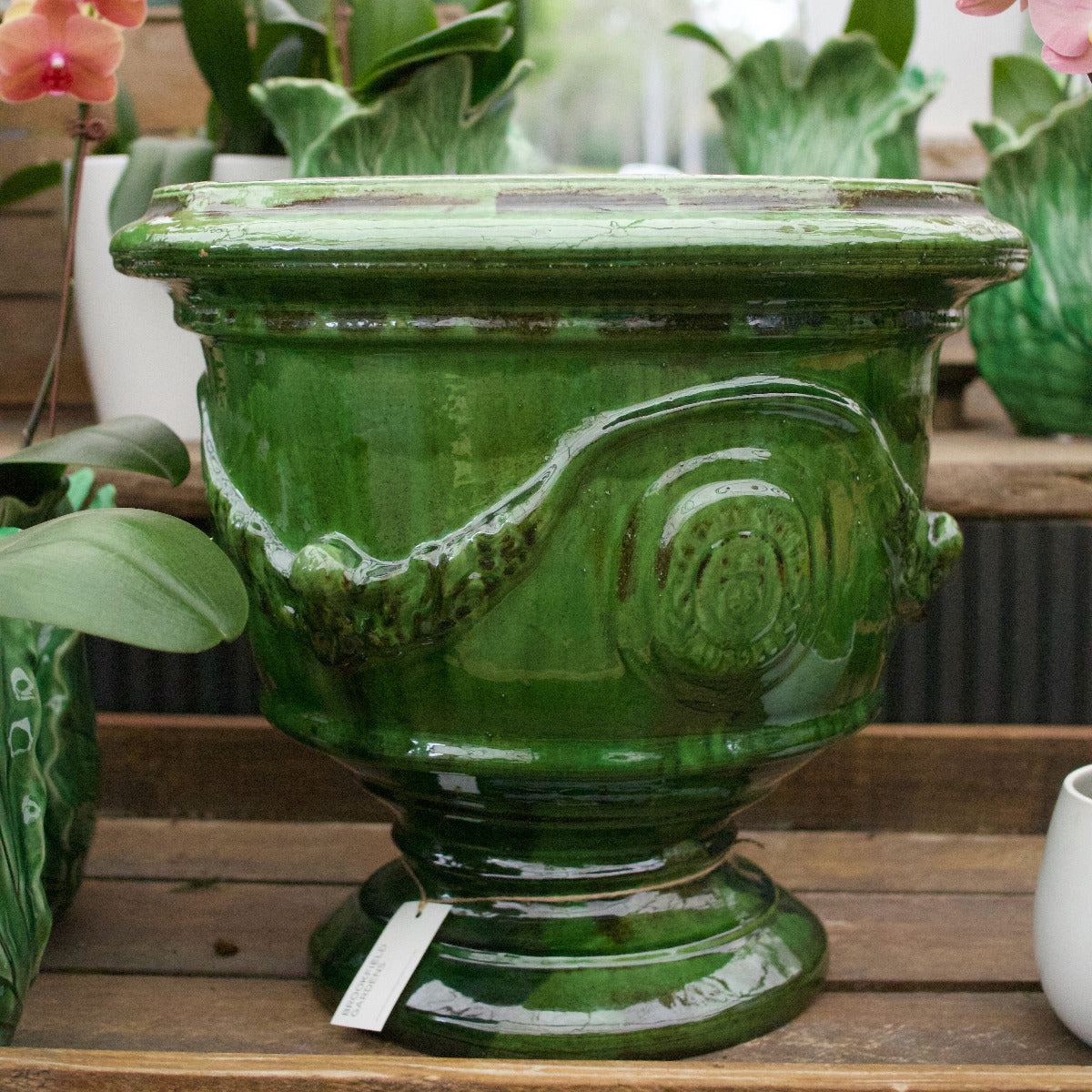 Green Versailles Coupe