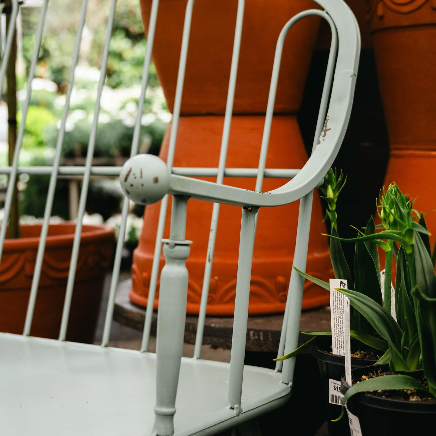 Georgian Garden Seat