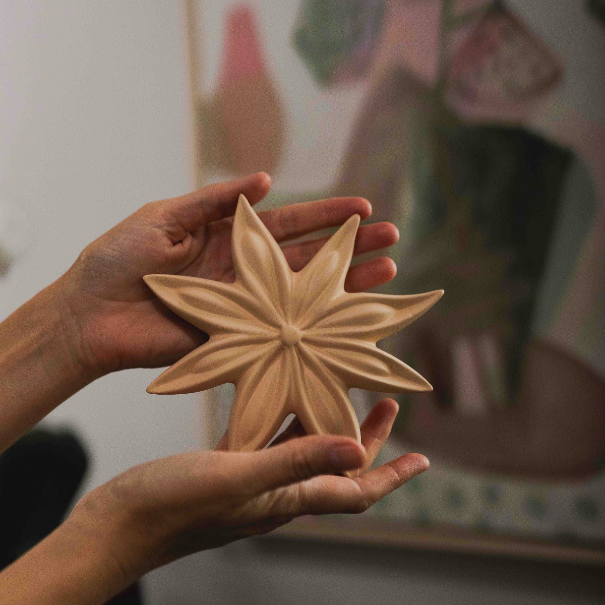 Janis Terracotta Ceramic Star Anise