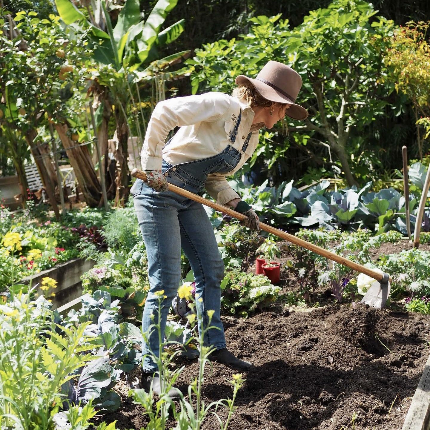 Veggie Gardening Workshop