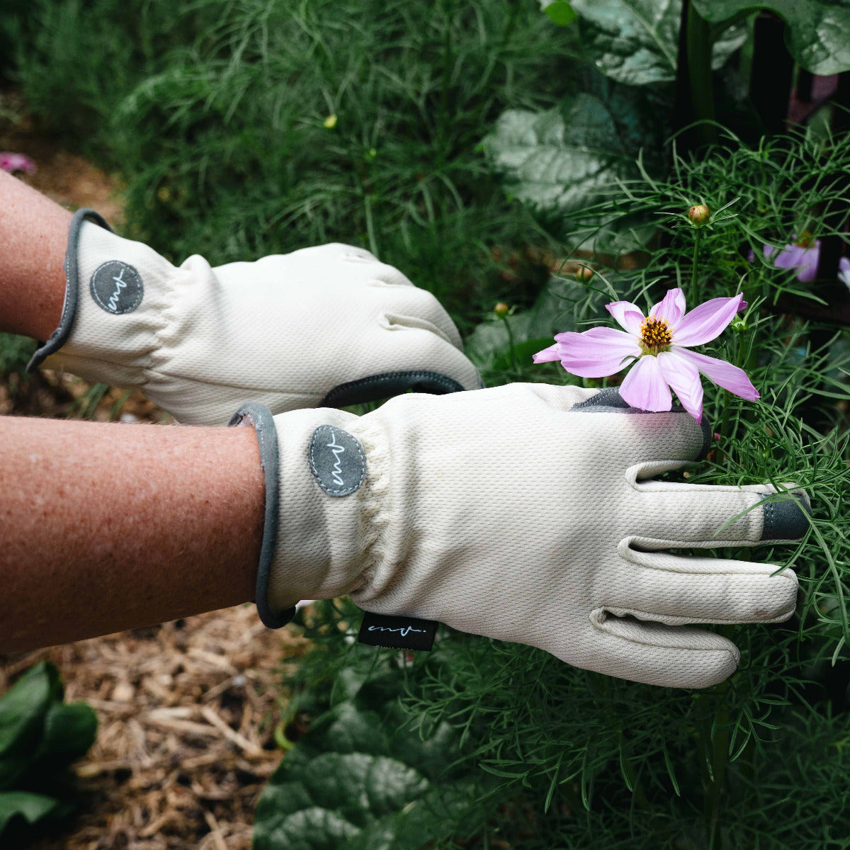 Martha Vineyard Glove
