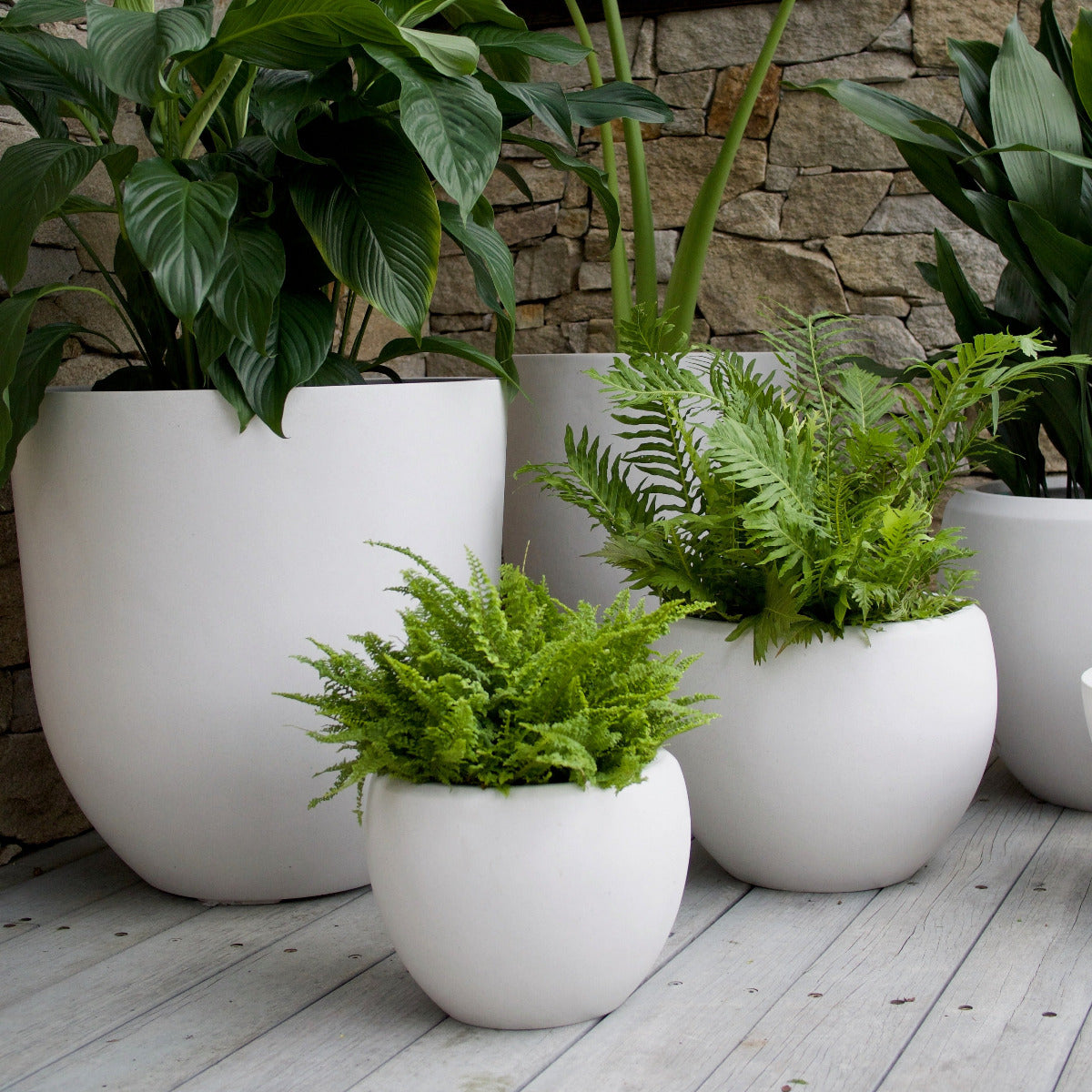 Gardening in small spaces with Ann-Marie