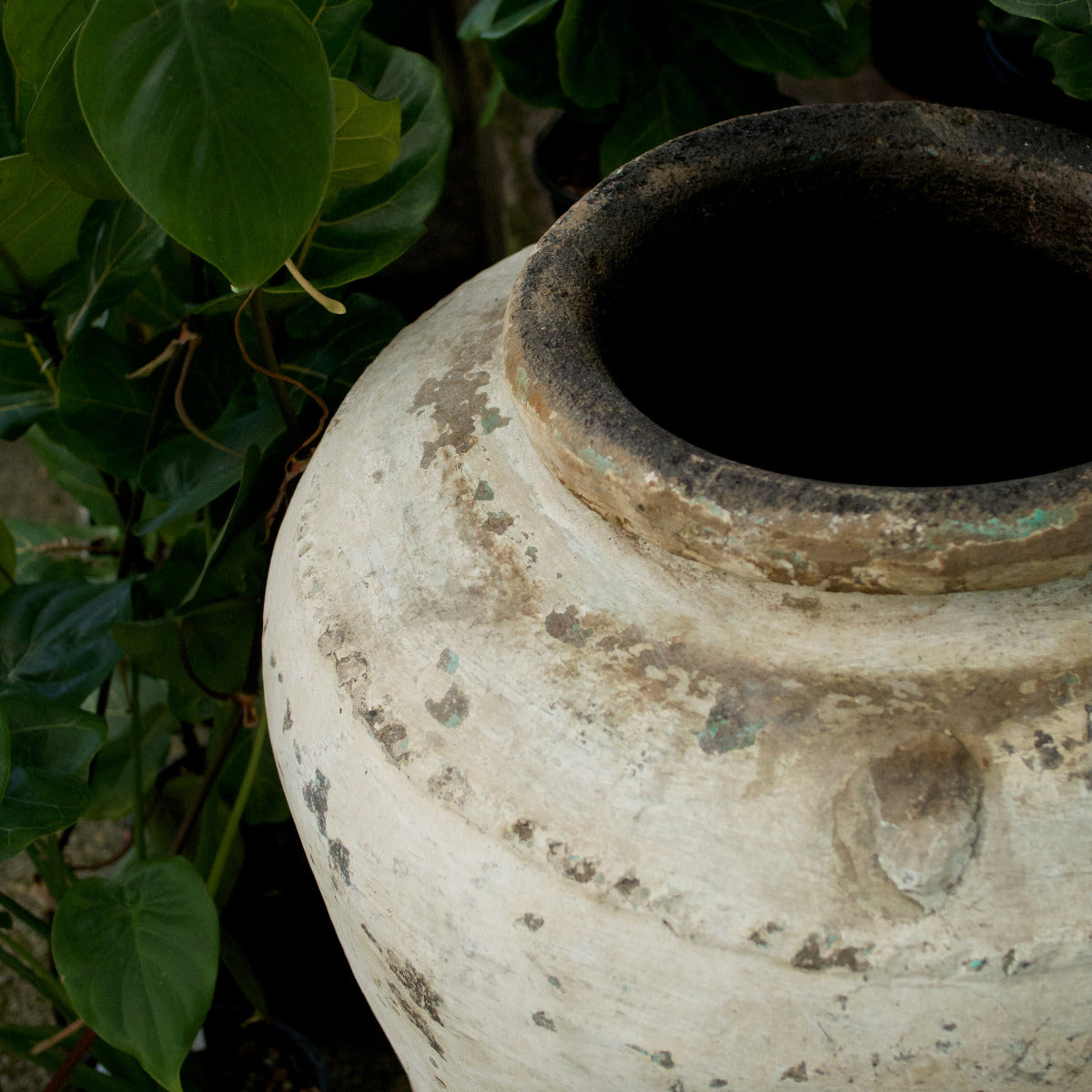 Large Urn