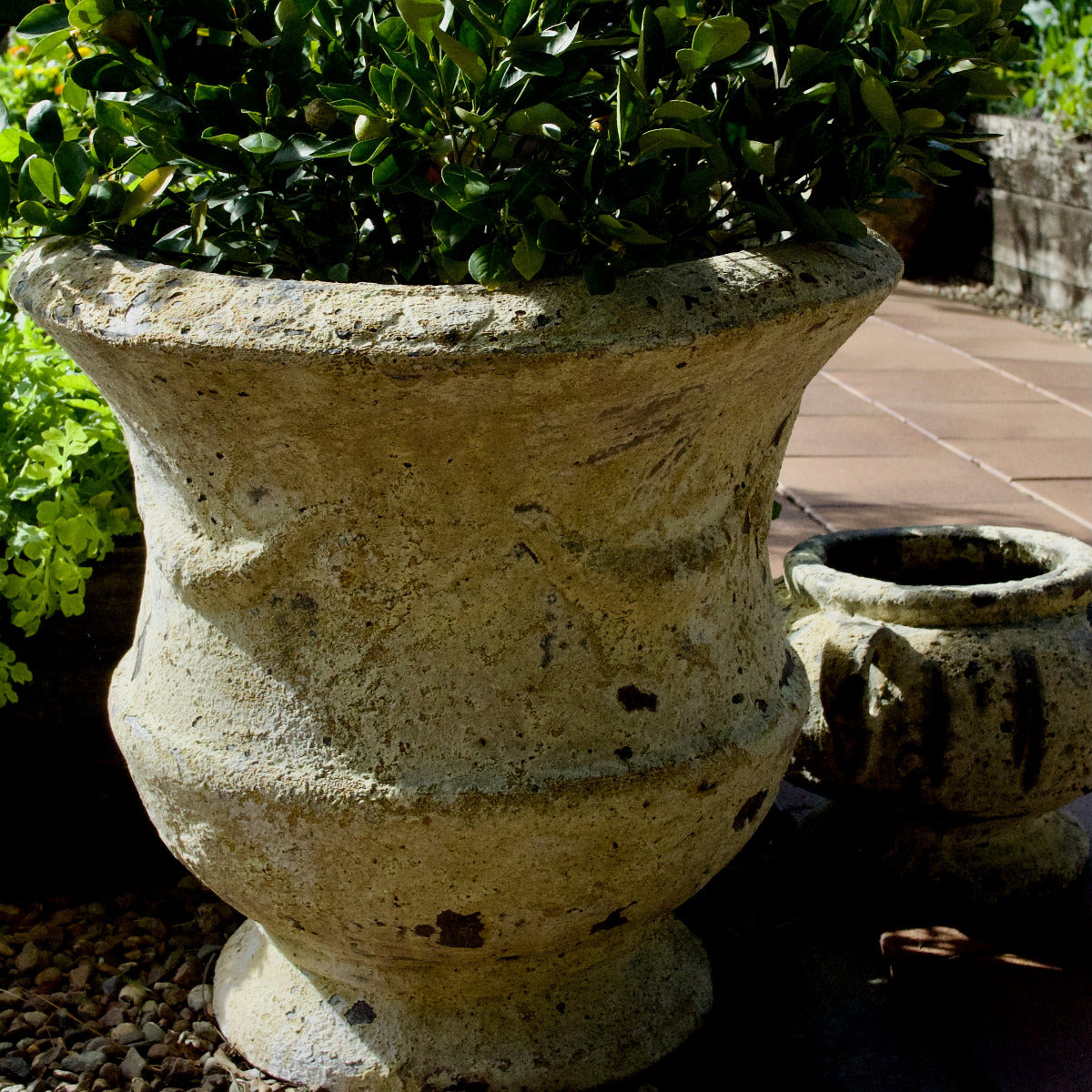 Thistle Urn