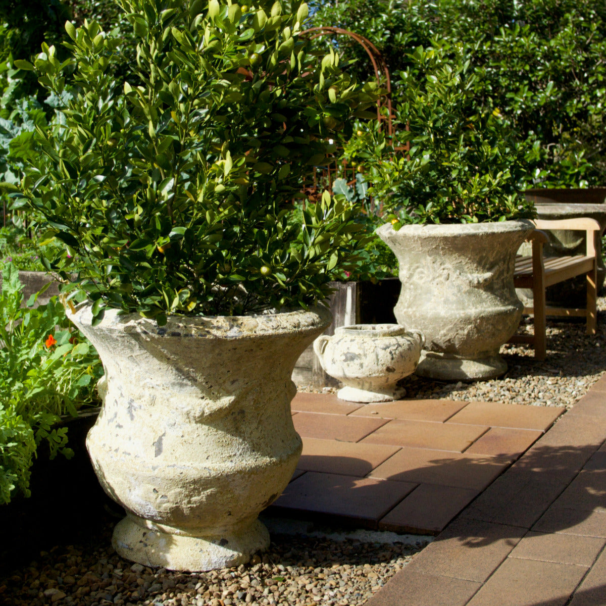 Thistle Urn