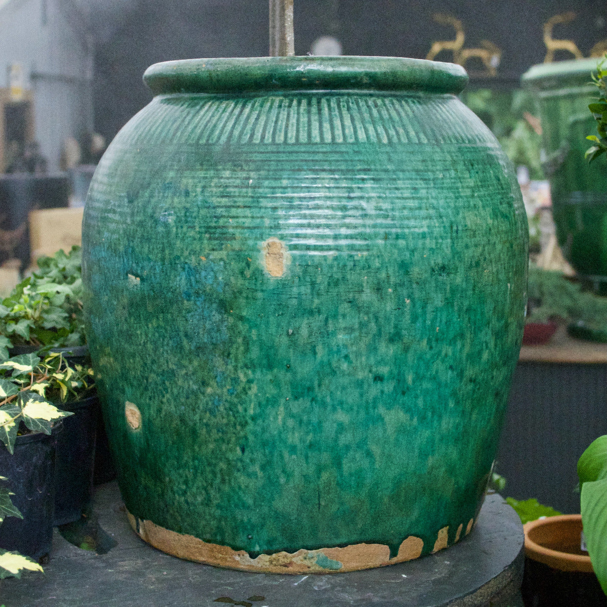 Antique Green Pot