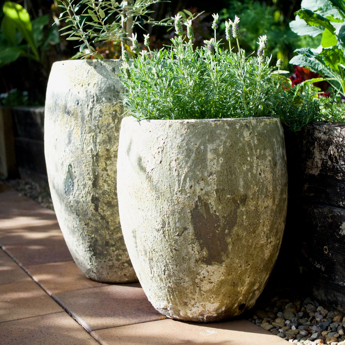 Tall Egg Planter