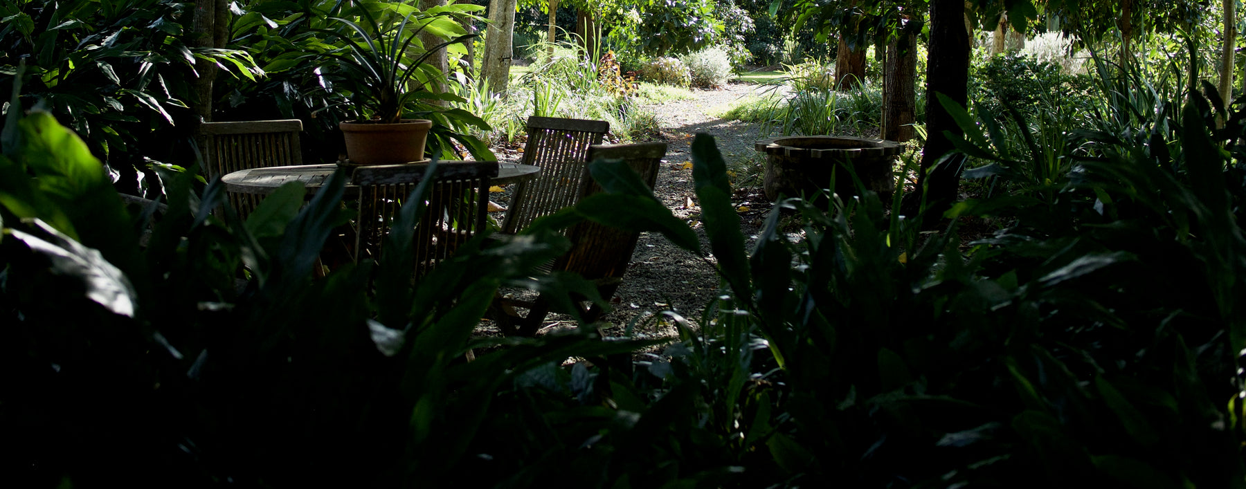 Gardening with a native edge