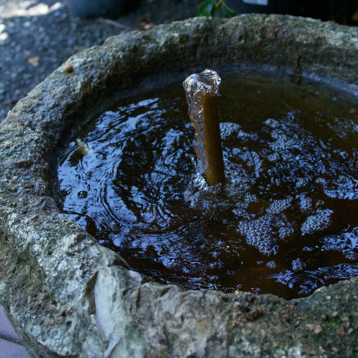 Limestone Round inc pump